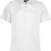 Eclipse Pique Polo (H)